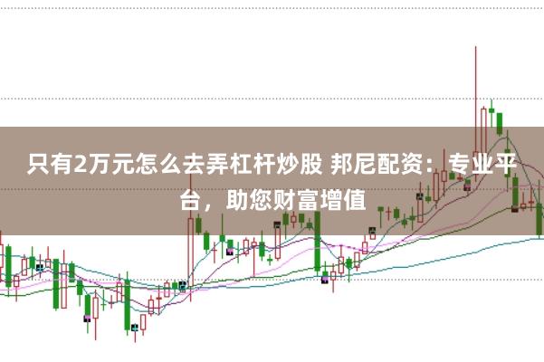 只有2万元怎么去弄杠杆炒股 邦尼配资：专业平台，助您财富增值