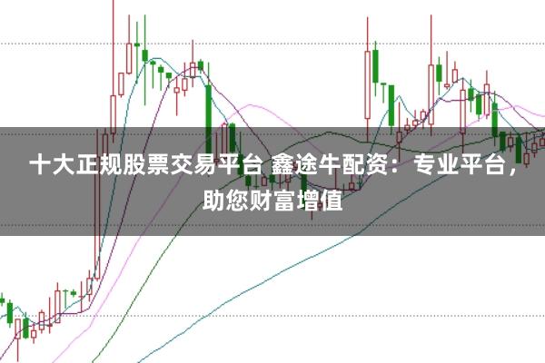 十大正规股票交易平台 鑫途牛配资：专业平台，助您财富增值