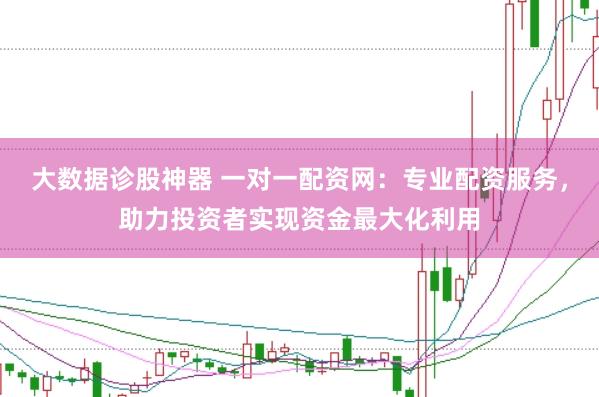 大数据诊股神器 一对一配资网：专业配资服务，助力投资者实现资金最大化利用