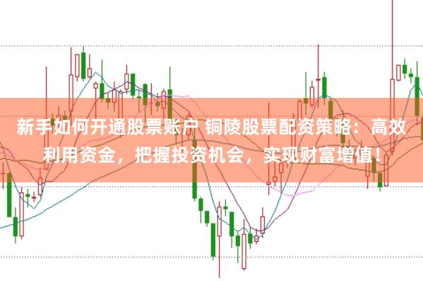 新手如何开通股票账户 铜陵股票配资策略：高效利用资金，把握投资机会，实现财富增值！