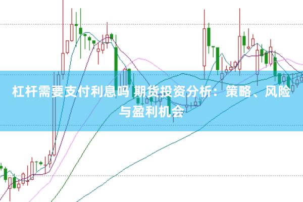 杠杆需要支付利息吗 期货投资分析：策略、风险与盈利机会