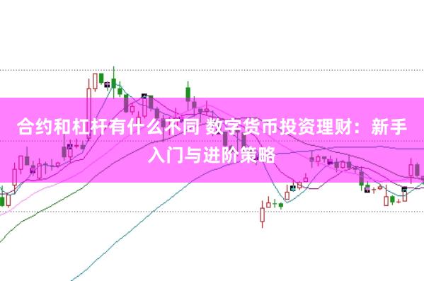 合约和杠杆有什么不同 数字货币投资理财：新手入门与进阶策略
