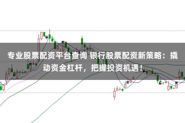 专业股票配资平台查询 银行股票配资新策略：撬动资金杠杆，把握投资机遇！